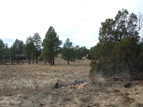 Tiny photo for 2925 Buckskin Canyon Rd Rd, Heber, AZ 85928 (MLS # 258724)