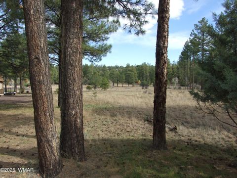 Tiny photo for 2925 Buckskin Canyon Rd Rd, Heber, AZ 85928 (MLS # 258724)