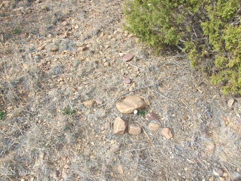 Tiny photo for 2925 Buckskin Canyon Rd Rd, Heber, AZ 85928 (MLS # 258724)