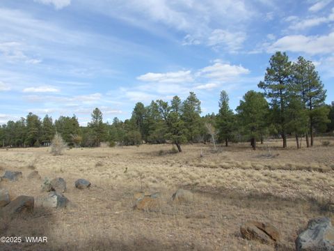 Tiny photo for 2925 Buckskin Canyon Rd Rd, Heber, AZ 85928 (MLS # 258724)