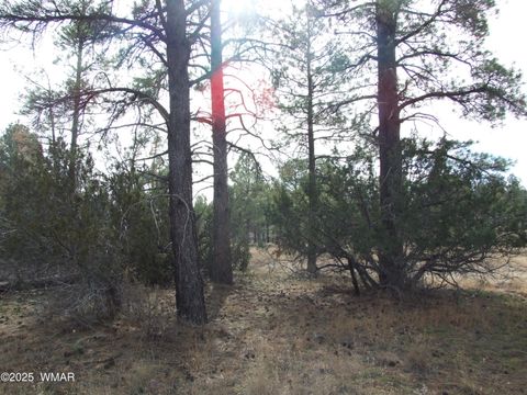 Tiny photo for 2925 Buckskin Canyon Rd Rd, Heber, AZ 85928 (MLS # 258724)