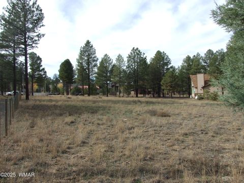 Tiny photo for 2925 Buckskin Canyon Rd Rd, Heber, AZ 85928 (MLS # 258724)