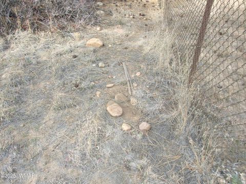 Tiny photo for 2925 Buckskin Canyon Rd Rd, Heber, AZ 85928 (MLS # 258724)