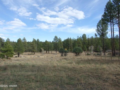 Tiny photo for 2925 Buckskin Canyon Rd Rd, Heber, AZ 85928 (MLS # 258724)