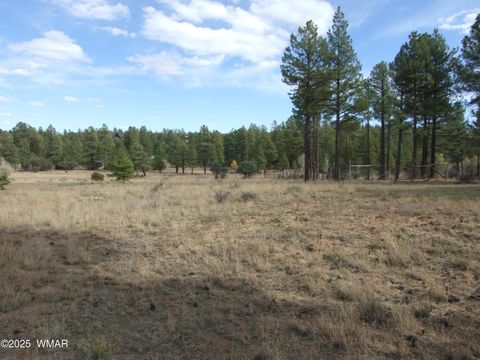 Tiny photo for 2925 Buckskin Canyon Rd Rd, Heber, AZ 85928 (MLS # 258724)