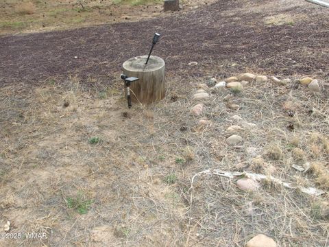 Tiny photo for 2925 Buckskin Canyon Rd Rd, Heber, AZ 85928 (MLS # 258724)