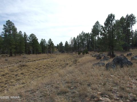 Tiny photo for 2925 Buckskin Canyon Rd Rd, Heber, AZ 85928 (MLS # 258724)