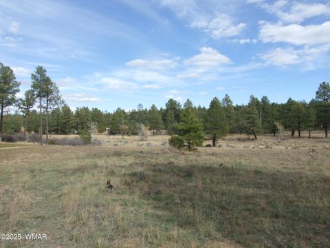 Tiny photo for 2925 Buckskin Canyon Rd Rd, Heber, AZ 85928 (MLS # 258724)