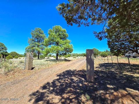 Tiny photo for 1051 Dusty Lane, Show Low, AZ 85901 (MLS # 256173)