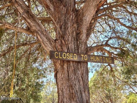 Tiny photo for 1051 Dusty Lane, Show Low, AZ 85901 (MLS # 256173)