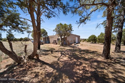 Tiny photo for 1051 Dusty Lane, Show Low, AZ 85901 (MLS # 256173)