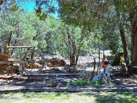 Tiny photo for 1051 Dusty Lane, Show Low, AZ 85901 (MLS # 256173)