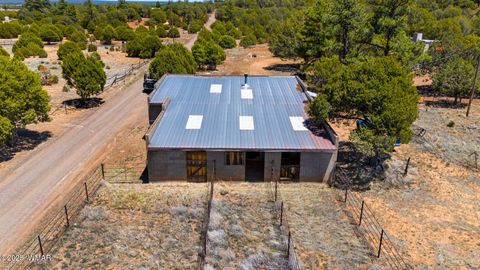 Tiny photo for 1051 Dusty Lane, Show Low, AZ 85901 (MLS # 256173)