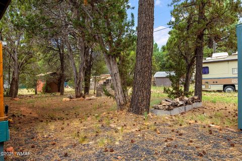 Tiny photo for 2086 Pinewood Drive, Overgaard, AZ 85933 (MLS # 257563)