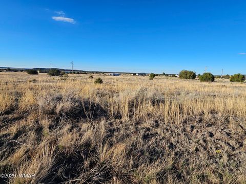 Photo of Lot 167 County Road 2005, Nutrioso, AZ 85932 (MLS # 258096)