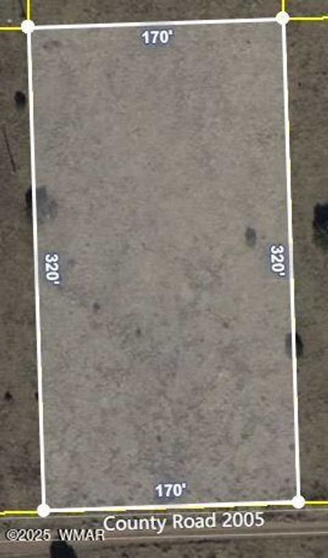 Tiny photo for Lot 167 County Road 2005, Nutrioso, AZ 85932 (MLS # 258096)