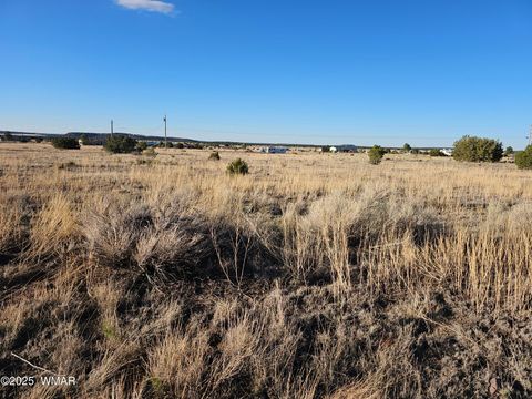 Tiny photo for Lot 167 County Road 2005, Nutrioso, AZ 85932 (MLS # 258096)