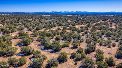 Tiny photo for 2076 Supancheck Road, Show Low, AZ 85901 (MLS # 259397)