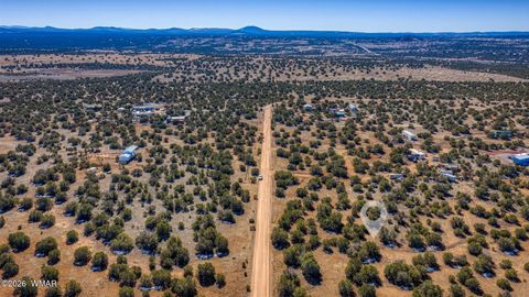 Tiny photo for 2076 Supancheck Road, Show Low, AZ 85901 (MLS # 259397)