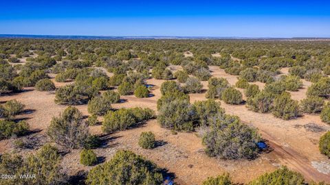 Tiny photo for 2076 Supancheck Road, Show Low, AZ 85901 (MLS # 259397)