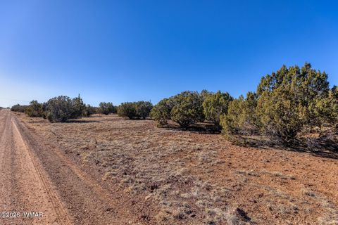 Tiny photo for 2076 Supancheck Road, Show Low, AZ 85901 (MLS # 259397)