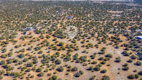 Tiny photo for 2076 Supancheck Road, Show Low, AZ 85901 (MLS # 259397)