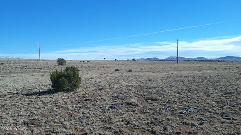 Photo of TBD Lakeview Ranch 2, Concho, AZ 85924 (MLS # 259272)