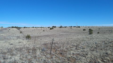 Tiny photo for TBD Lakeview Ranch 2, Concho, AZ 85924 (MLS # 259272)