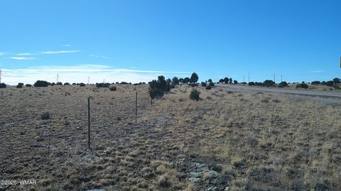 Tiny photo for TBD Lakeview Ranch 2, Concho, AZ 85924 (MLS # 259272)
