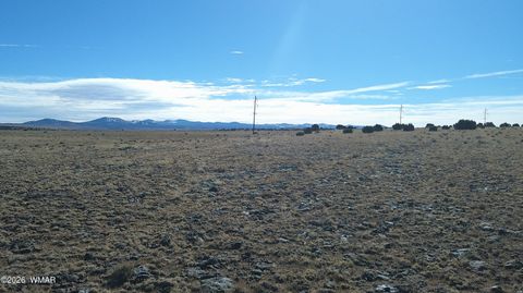 Tiny photo for TBD Lakeview Ranch 2, Concho, AZ 85924 (MLS # 259272)