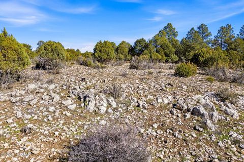 Tiny photo for 2287 Aero Mech Drive, Overgaard, AZ 85933 (MLS # 258867)