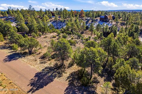 Tiny photo for 2287 Aero Mech Drive, Overgaard, AZ 85933 (MLS # 258867)