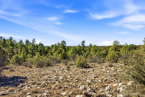 Tiny photo for 2287 Aero Mech Drive, Overgaard, AZ 85933 (MLS # 258867)