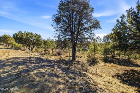 Tiny photo for 2287 Aero Mech Drive, Overgaard, AZ 85933 (MLS # 258867)
