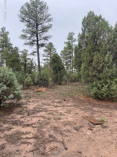 Photo of 720 S Mountain Pines Avenue, Show Low, AZ 85901 (MLS # 258345)