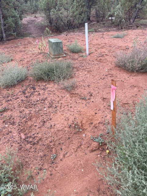 Tiny photo for 720 S Mountain Pines Avenue, Show Low, AZ 85901 (MLS # 258345)