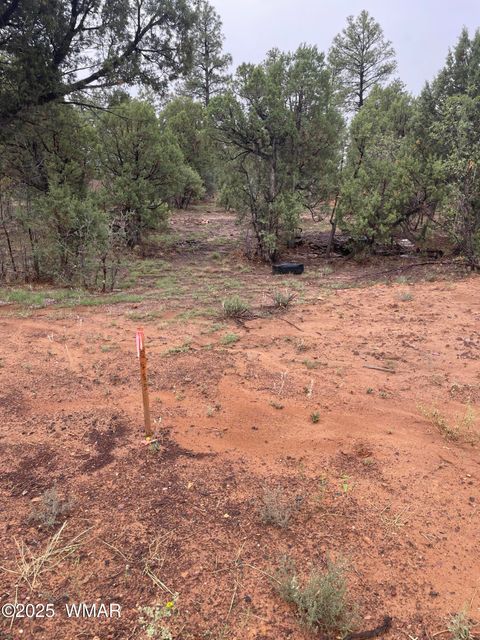 Tiny photo for 720 S Mountain Pines Avenue, Show Low, AZ 85901 (MLS # 258345)