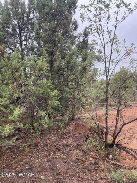 Tiny photo for 720 S Mountain Pines Avenue, Show Low, AZ 85901 (MLS # 258345)