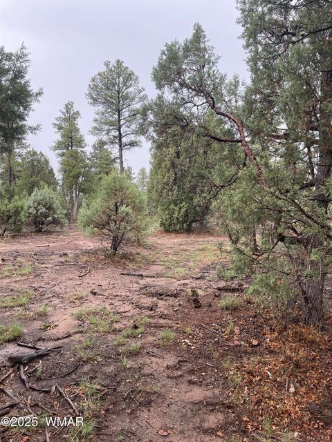 Tiny photo for 720 S Mountain Pines Avenue, Show Low, AZ 85901 (MLS # 258345)