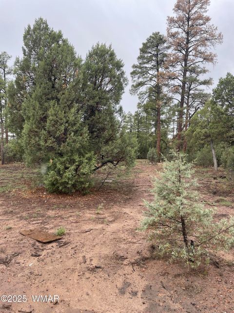 Tiny photo for 720 S Mountain Pines Avenue, Show Low, AZ 85901 (MLS # 258345)