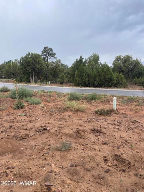 Tiny photo for 720 S Mountain Pines Avenue, Show Low, AZ 85901 (MLS # 258345)