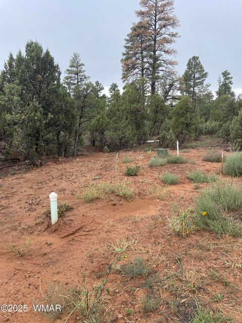 Tiny photo for 720 S Mountain Pines Avenue, Show Low, AZ 85901 (MLS # 258345)