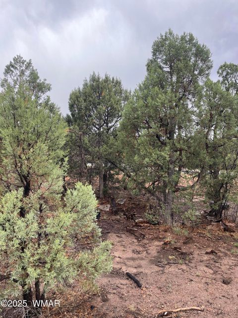 Tiny photo for 720 S Mountain Pines Avenue, Show Low, AZ 85901 (MLS # 258345)