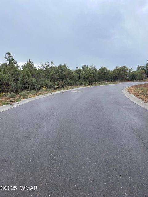Tiny photo for 720 S Mountain Pines Avenue, Show Low, AZ 85901 (MLS # 258345)