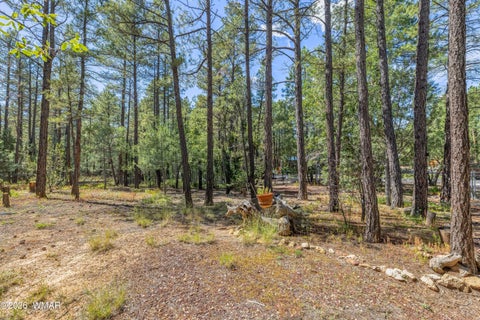 Tiny photo for 2861 W Young, Show Low, AZ 85901 (MLS # 263307)