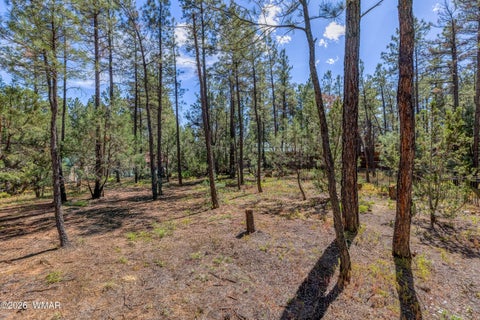 Tiny photo for 2861 W Young, Show Low, AZ 85901 (MLS # 263307)