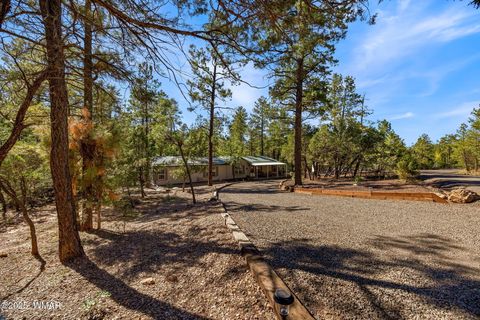 Tiny photo for 4852 S Cub Lake Road, Show Low, AZ 85901 (MLS # 258235)