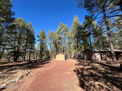 Tiny photo for 2842 Gold Dust Trail, Show Low, AZ 85901 (MLS # 258660)
