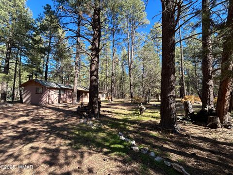 Photo of 2842 Gold Dust Trail, Show Low, AZ 85901 (MLS # 258660)