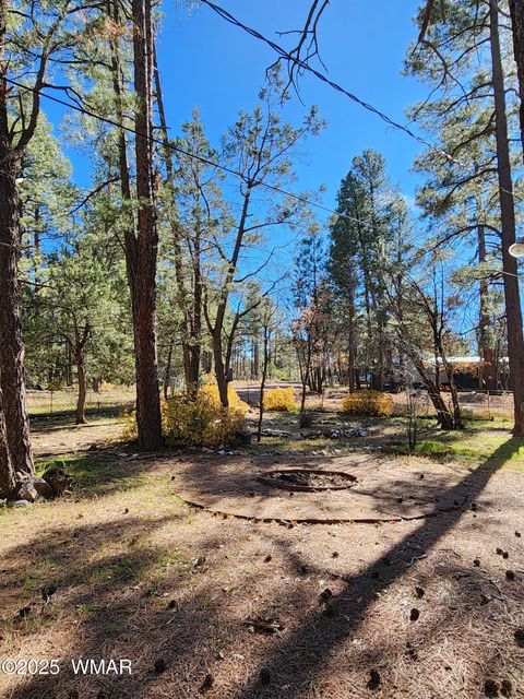 Tiny photo for 2842 Gold Dust Trail, Show Low, AZ 85901 (MLS # 258660)